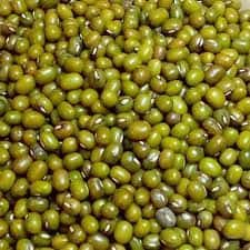 Green gram / Mung bean