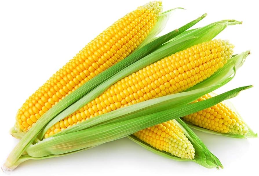 Sweetcorn